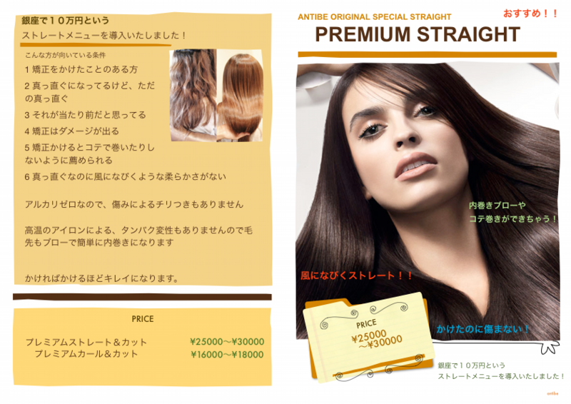 プレミアムストレート.pdf